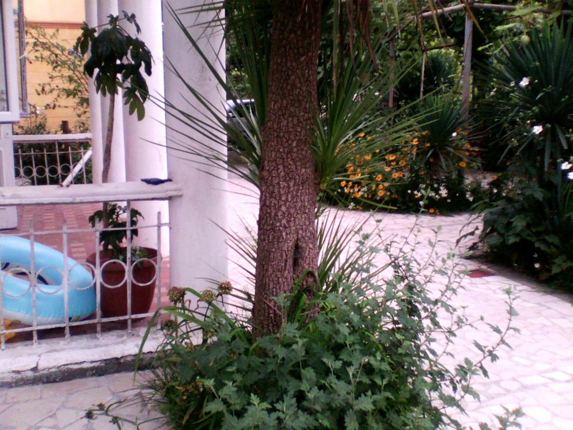 White Guest House Batumi Ngoại thất bức ảnh