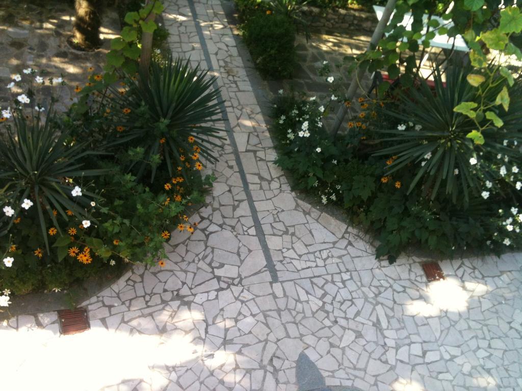 White Guest House Batumi Ngoại thất bức ảnh